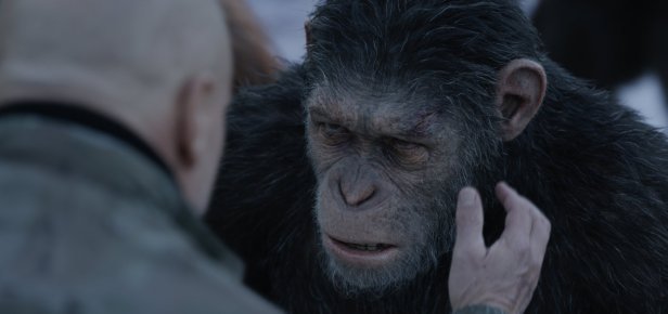 War for the planet of the apes